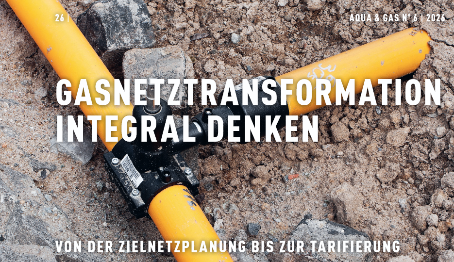 Gasnetztransformation integral denken
